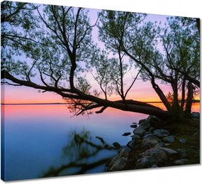 Vászonkép 50x40 Sziklák Fa Tó