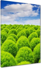 Vászonkép 70x100 Zöld tekintet Völgy