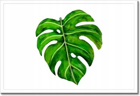 Poszterek keretben 60x40 Modern levél kép