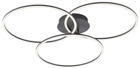 Leuchten Direkt 14539-18 - LED Dimmelhető lámpa IVANKA 3xLED/12W/230V