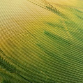 Kép - Mező gabonával (120x50 cm)
