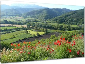 Festmények 120x80 Virágos kilátás a hegyekben