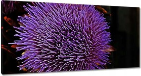 Vászonkép 115x55 Virág Lila Csipkebogyó