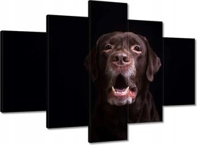 Festmények 150x105 Labrador kutya portré