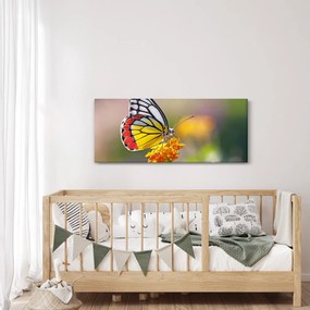 Egy pillangó képe a virágon (120x50 cm)