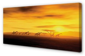Canvas képek Fa felhők ég zsiráf 120x60 cm