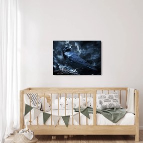 Kép - Holló (70x50 cm)
