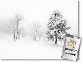 Fotótapéta Flizelina Tájkép Tél Hó Fagy Hófúvás Fák 300x210 ragasztó