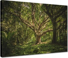 Vászonkép 40x30 Fa a parkban