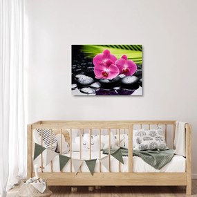 Üveg kép - Rózsaszín orchidea pálmalevéllel (70x50 cm)