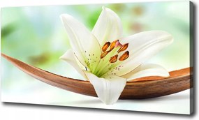 Fotótapéta nappaliba Liliom 120x60 cm