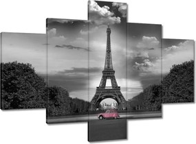 Vászonkép 100x70 Púderrózsaszín Franciaországban