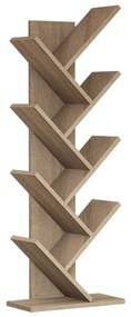 Hitit Walnut könyvtár