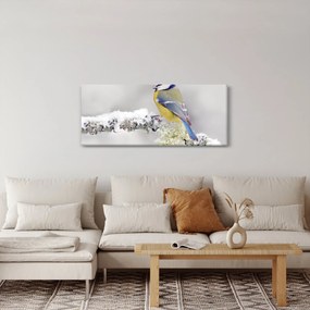 Kép - Cinege (120x50 cm)