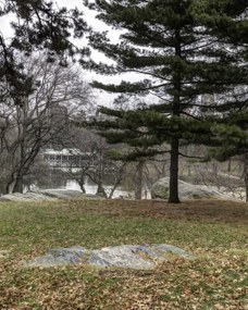 Poszter 40x50cm Central Park, New York, Assaf Frank