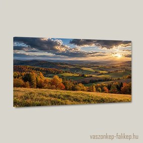 Aranyló dombvidék falikép – részletgazdag nyomat 40x23 cm