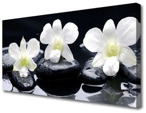 Vászonkép nyomtatás Orchid Plant Stones 100x50 cm