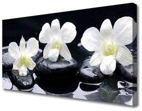 Vászonkép nyomtatás Orchid Plant Stones 120x60 cm
