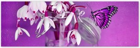 Poszterek 200x66 Hóvirág és pillangó