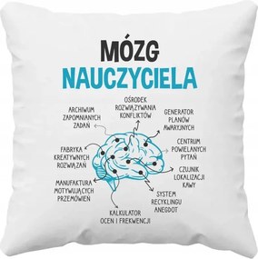 Pedagógus agy Párna Ajándék Pedagógus Pedagógusnak