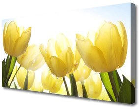 Vászonkép Tulipán virágok Rays 100x50 cm
