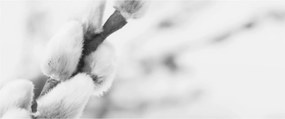 Kép - A tavasz kezdete (120x50 cm)