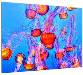 Medúza a tengerben képe (70x50 cm)