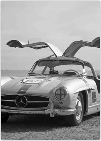 Poszterek 50x70 Mercedes Gullwing