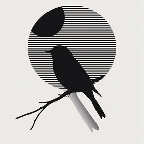 Poszter 20x20cm Kontraszt Karcsúság