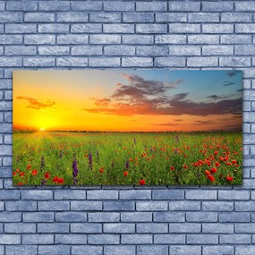 Akril üveg kép Sun mezei virágok Természet 100x50 cm