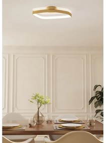 Eglo 900916 - LED Dimmelhető mennyezeti lámpa VALLEROSA LED/25,2W/230V