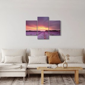 Kép - Levendula mező (90x60 cm)