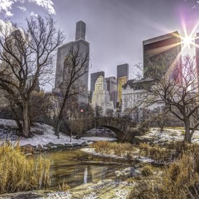 Poszter 40x40cm Központi park Alsó-Manhattan panorámával, Assaf Frank