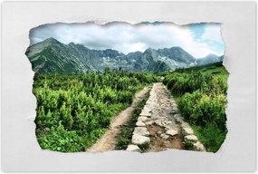 Poszterek 120x80 Kő út Tátra