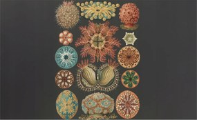 Fotótapéta Flizelin Fal a Hálószobába Tengeri inspirációk 416x254 Ragasztó