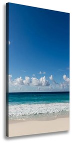 Feszített vászonkép Trópusi tengerpart ocv-116222008