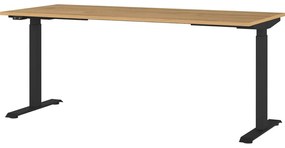 Íróasztal elektromosan állítható magassággal, tölgyfa dekoros asztallappal 80x180 cm Agenda – Germania