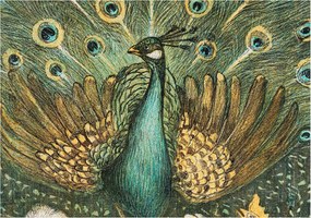 Fotótapéta Flizelin Fal a Hálószobába Fenséges páva 312x219 Ragasztó