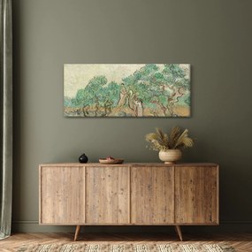 Kép - Vincent van Gogh, The Olive Orchard, reprodukciók (120x50 cm)
