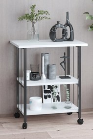 Gurulós tárolóállvány, 60 cm – TR298GNS3106
