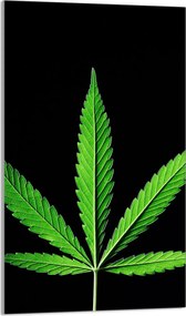 Üveg Vágódeszka 30x52 Levél a Konyhába