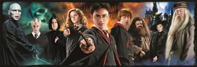 Harry Potter Foe 1000 db-os panoráma puzzle Clementoni