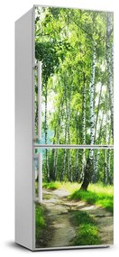 Matrica hűtőre Nyírfa erdő FridgeStick-70x190-f-66218016