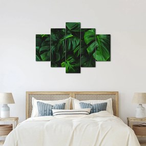 Monstery levelek képe (150x105 cm)