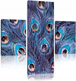 Vászonkép 80x80 Páva tollak egzotikus luxus minta textúra fali dekoráció művészet
