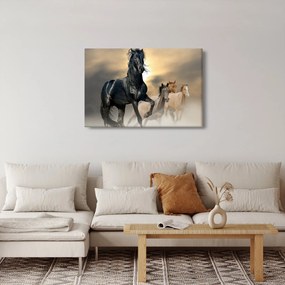 Kép - Lovak (90x60 cm)