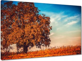 Vászonkép 90x60 Őszi színek Tájkép