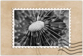 Poszterek 60x40 Pitypang Virág Virágok