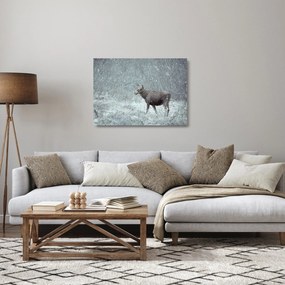 Kép - jávorszarvas egy hóval borított erdőben (üvegen) (70x50 cm)