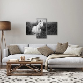 Egy fehér ló képe egy réten, fekete-fehér (90x60 cm)